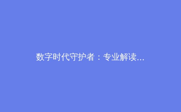 数字时代守护者：专业解读VPN核心价值与未来趋势 - 2