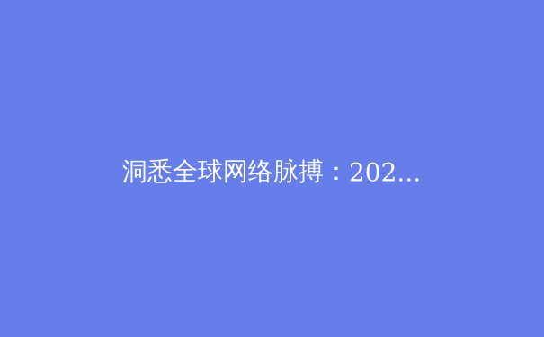 洞悉全球网络脉搏：2024年VPN技术趋势与安全上网深度解析