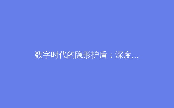 数字时代的隐形护盾：深度解析VPN技术演进与全球网络安全新格局 - 2