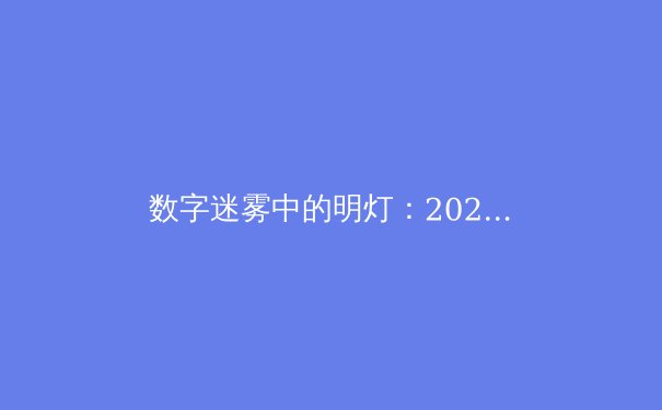 数字迷雾中的明灯：2024年全球VPN技术演进与安全应用深度解析 - 2