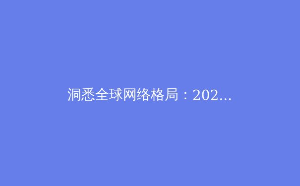 洞悉全球网络格局：2024年VPN核心资讯与安全上网深度指南 - 2