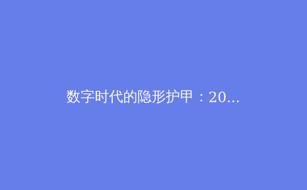 数字时代的隐形护甲：2024年个人网络安全与VPN深度应用指南 - 2