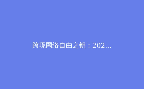跨境网络自由之钥：2024年VPN技术趋势与安全选择全解析 - 2