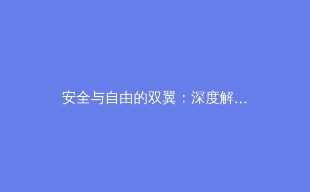 安全与自由的双翼：深度解析VPN在现代网络生活中的核心价值 - 2