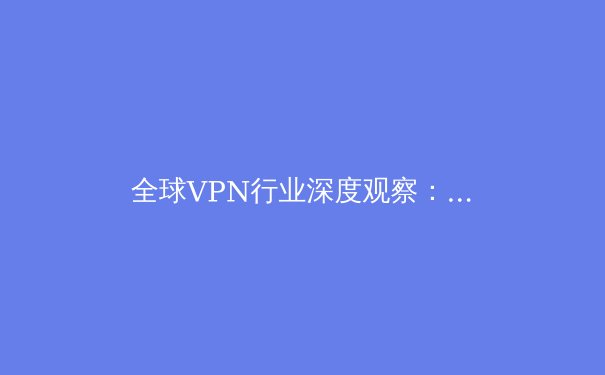 全球VPN行业深度观察：2024年网络安全与数字自由的新博弈 - 2