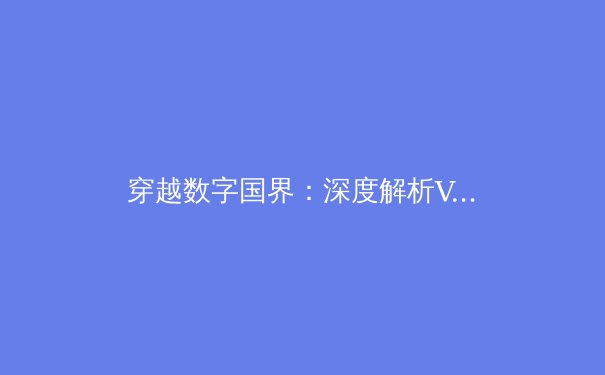 穿越数字国界：深度解析VPN技术演进与全球网络隐私新常态 - 4