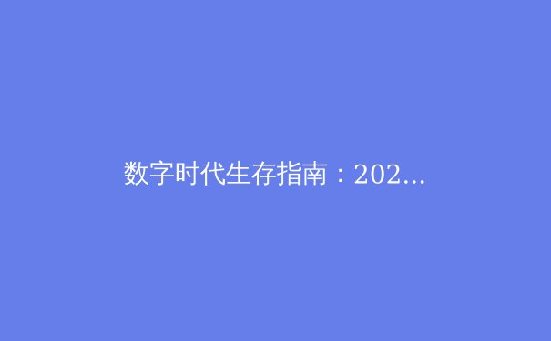 数字时代生存指南：2024年VPN如何重塑你的网络边界与数据主权 - 2
