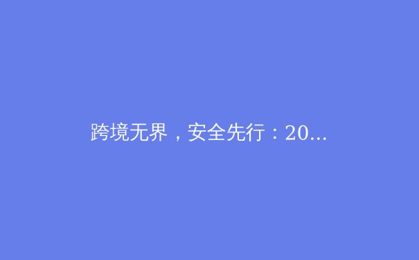 跨境无界，安全先行：2024年专业VPN应用趋势与深度解析