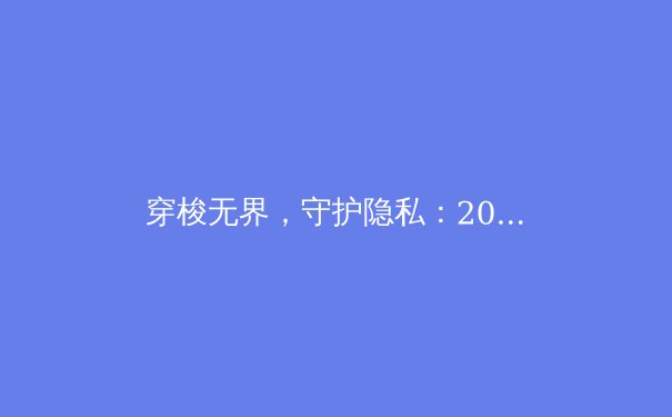 穿梭无界，守护隐私：2024年VPN核心技术解析与安全应用指南 - 2