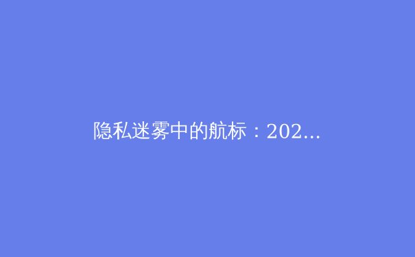 隐私迷雾中的航标：2024年专业用户VPN选择与资讯安全深度指南